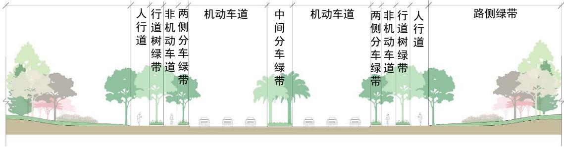 图4.1.1 林荫道的典型横断面