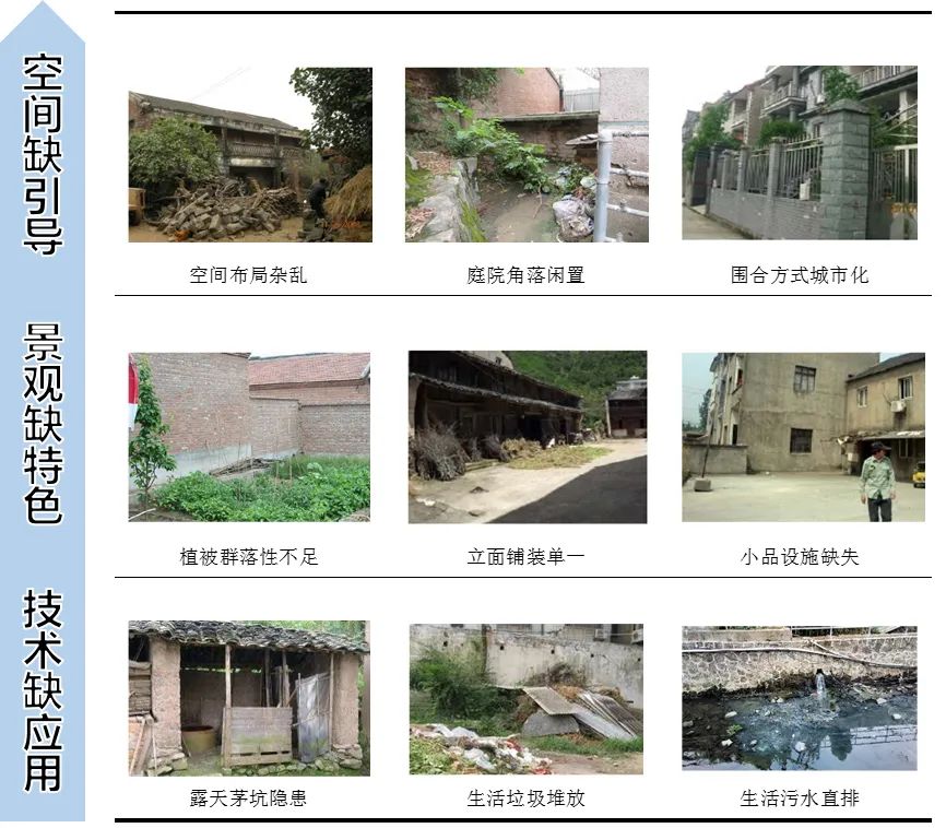 1595580413954658.jpg 02.jpg