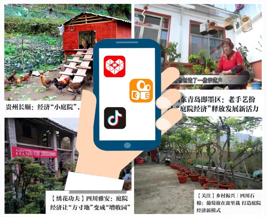 1595580753183926.jpg 14.jpg