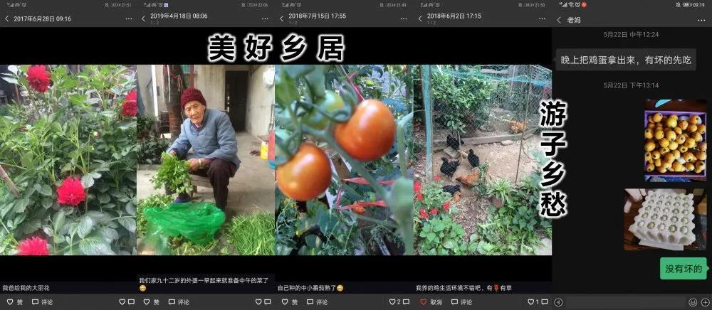 1595580782355902.jpg 16.jpg