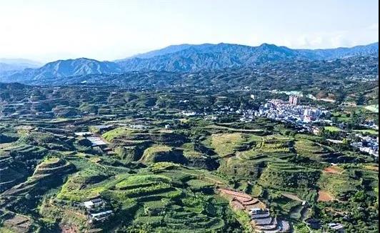 1595945099508240.jpg 00000.jpg