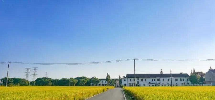 1595972535442631.jpg 1111.jpg