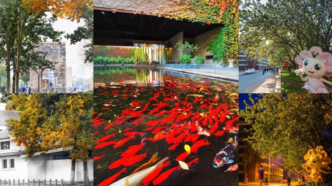 1596020115927508.jpg 11.jpg