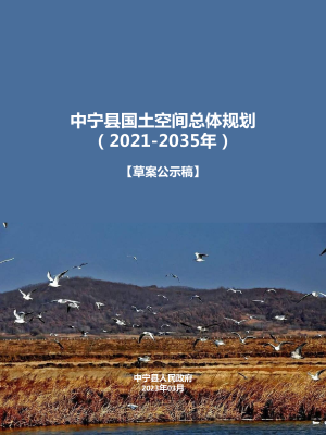 宁夏中宁县国土空间总体规划（2021-2035年）
