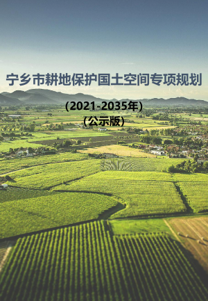 宁乡市耕地保护国土空间专项规划（2021-2035年）