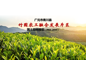 青川县竹园农工融合发展片区国土空间规划（2021--2035）