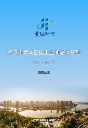 湖北省武汉市黄陂区国土空间总体规划（2021-2035年）