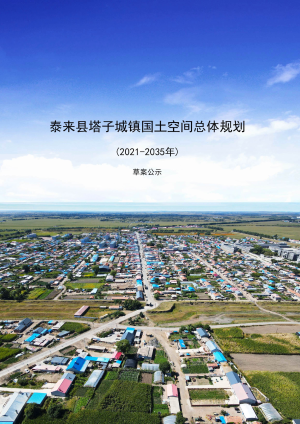 泰来县塔子城镇国土空间总体规划（2021-2035年）
