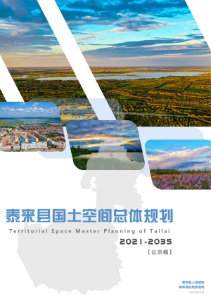 黑龙江省泰来县国土空间总体规划 （2021-2035年）