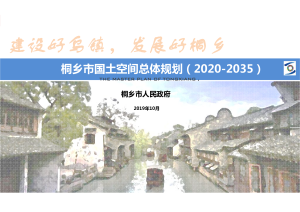 浙江省桐乡市国土空间总体规划(2020-2035) 