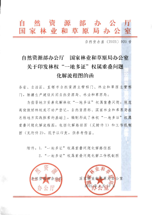 自然资源部办公厅《林权“一地多证”权属重叠问题化解流程图的函》自然资办函〔2025〕920号