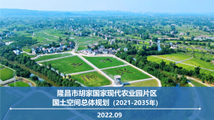 隆昌市胡家国家现代农业园片区国土空间总体规划（2021-2035）