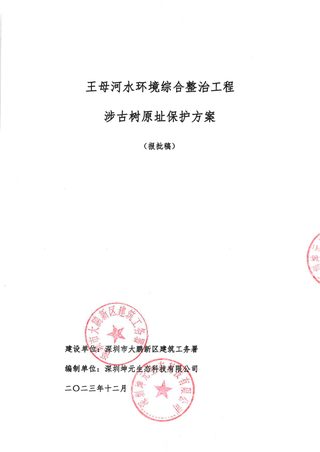 深圳市王母河水环境综合整治工程涉古树原址保护方案