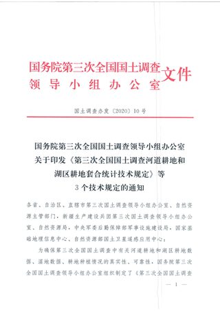 国务院第三次全国国土调查领导小组办公室《第三次全国国土调查河道耕地和湖区耕地套合统计技术规定》国土调查办发〔2020〕10号