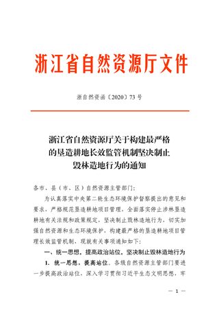 浙江省自然资源厅《关于构建最严格的垦造耕地长效监管机制坚决制止毁林造地行为的通知》浙自然资函〔2020〕73号