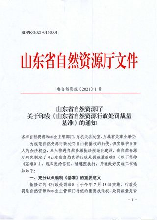 山东省自然资源《行政处罚裁量基准》鲁自然资规〔2021〕1 号