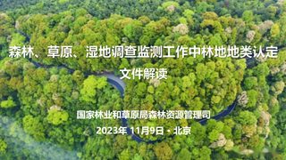 国家林业和草原局《关于进一步明确森林、草原、地调查监测工作中林地地类认定》