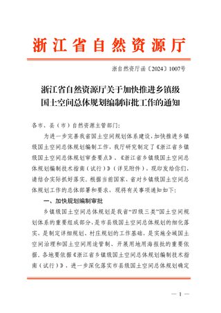 浙江省自然资源厅《关于加快推进乡镇级国土空间总体规划编制审批工作的通知》浙自然资厅函〔2024〕1007号