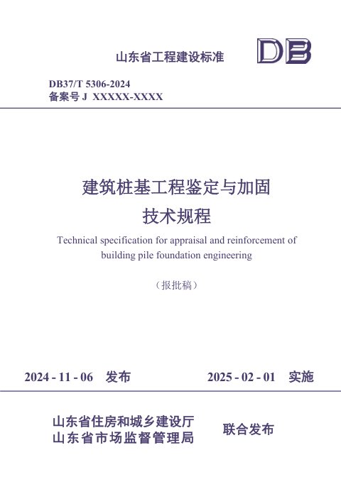山东省《建筑桩基工程鉴定与加固技术规程》DB37/T 5306-2024