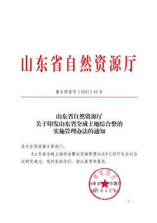 山东省自然资源厅《山东省全域土地综合整治实施管理办法》鲁自然资字〔2025〕42号