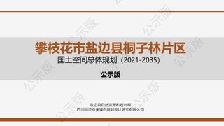 攀枝花市盐边县桐子林片区国土空间总体规划(2021-2035)