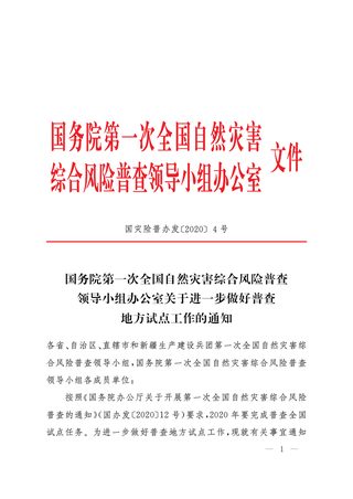 国务院第一次全国自然灾害综合风险普查领导小组《关于进一步做好普查地方试点工作的通知》国灾险普办发〔2020〕4号