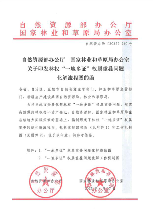 自然资源部办公厅《关于印发林权“一地多证”权属重叠问题化解流程图的函》自然资办函〔2025〕920号