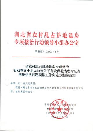 湖北省农村乱占耕地建房专项整治行动领导小组办公室《湖北省农村乱占耕地建房问题摸排工作实施方案》鄂整治办〔2020〕1号
