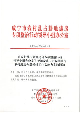咸宁市农村乱占耕地建房专项整治行动领导小组办公室《咸宁市农村乱占 耕地建房问题摸排工作实施方案》咸整治办〔2020〕1号