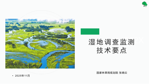 《湿地监测要点》