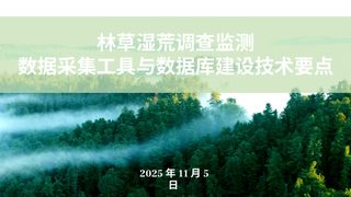 《林草湿荒调查监测数据采集工具及数据建库技术要点》