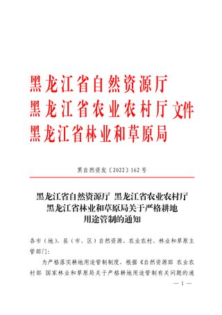 黑龙江省自然资源厅《关于严格耕地用途管制的通知》黑自然资发〔2022〕162号