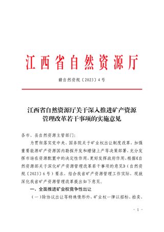 江西省自然资源厅《关于深入推进矿产资源管理改革若干事项的实施意见》赣自然规〔2023〕4号
