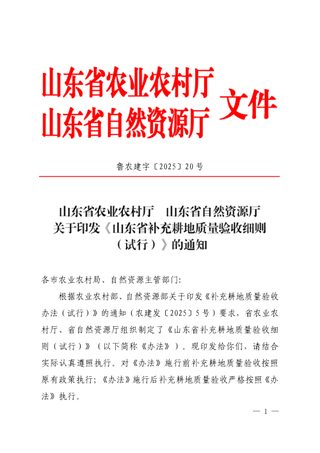 山东省补充耕地质量验收细则(试行)