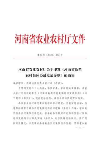 河南省新型农村集体经济发展导则