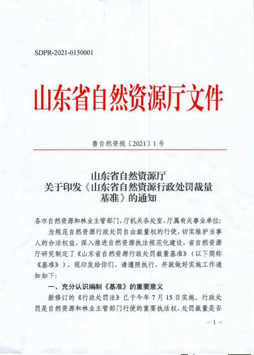 山东省自然资源厅《山东省自然资源行政处罚裁量基准》鲁自然资规〔2021〕1号