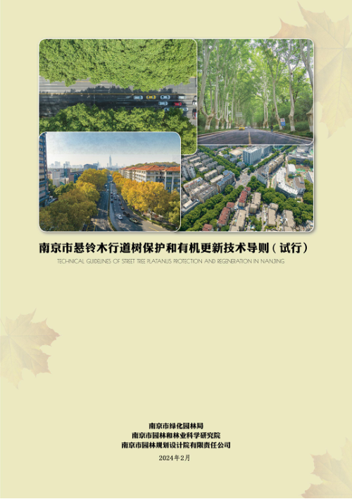 南京市悬铃木行道树保护和有机更新技术导则(试行)