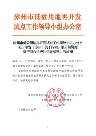 漳州市关于探索开展自然资源资产组合供应的指导意见