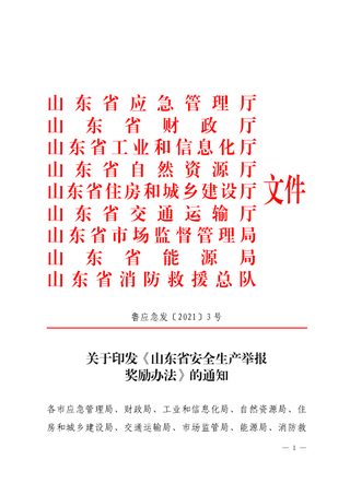 山东省应急管理厅 山东省自然资源厅《山东省安全生产举报奖励办法》鲁应急发〔2021〕3号