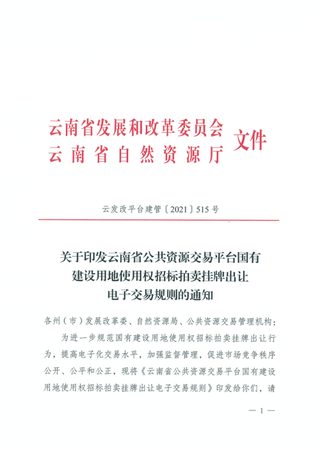 云南省公共资源交易平台国有建设用地使用权招标拍卖挂牌出让电子交易规则