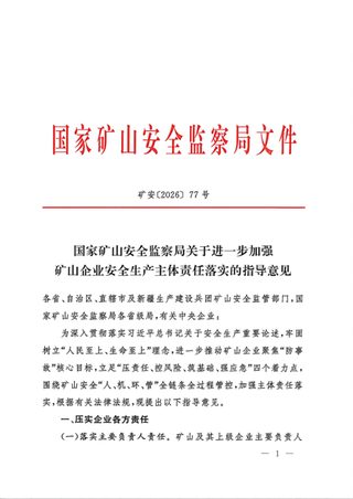 国家矿山安全监察局《关于进一步加强矿山企业安全生产主体责任落实的指导意见》矿安〔2026〕77号