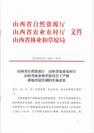 山西省自然资源厅等三部门《关于严格耕地用途管制的实施意见》晋自然资发〔2022〕28号