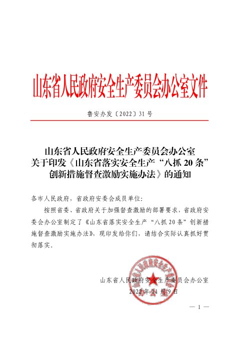山东省人民政府安全生产委员会办公室《落实安全生产“八抓 20 条”创新措施督查激励实施办法》鲁安办发〔2022〕31号