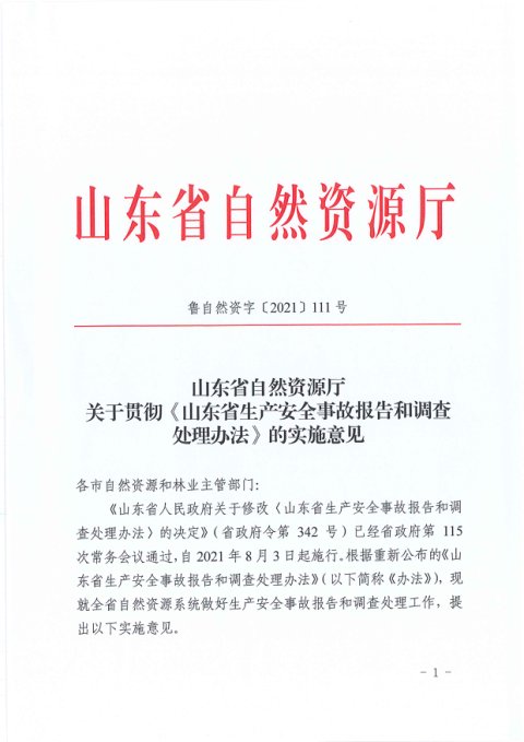 山东省自然资源厅《关于贯彻〈山东省生产安全事故报告和调查处理办法〉的实施意见》鲁自然资字〔2021〕111号