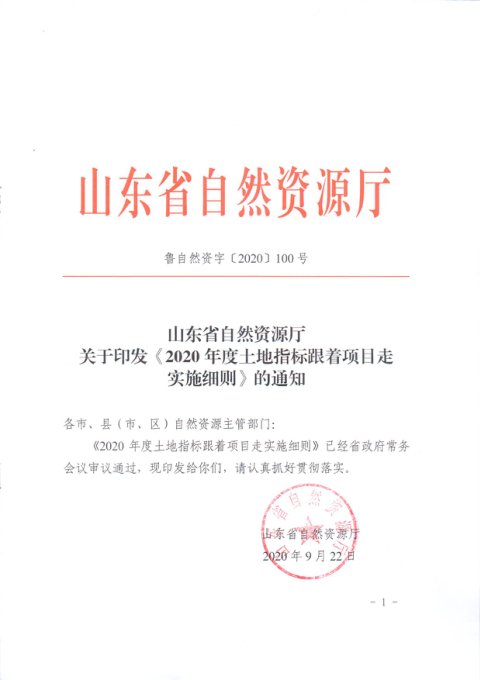 山东省自然资源厅《2020年度土地指标跟着项目走实施细则》鲁自然资字〔2020〕100号