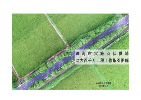 珠海市实施点状供地助力百千万工程工作指引图解