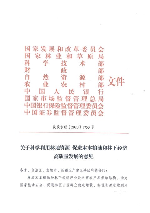 国家发展和改革委员会 国家林业和草原局《关于科学利用林地资源促进木本粮油和林下经济高质量发展的意见》发改农经〔2020〕1753号