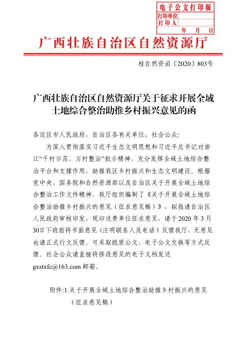 广西壮族自治区自然资源厅《关于征求开展全域土地综合整治助推乡村振兴意见的函》桂自然资函〔2020〕803号