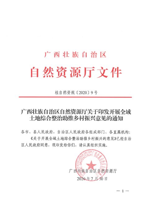 广西壮族自治区自然资源厅《开展全域土地综合整治助推乡村振兴意见》桂自然资规〔2020〕9号