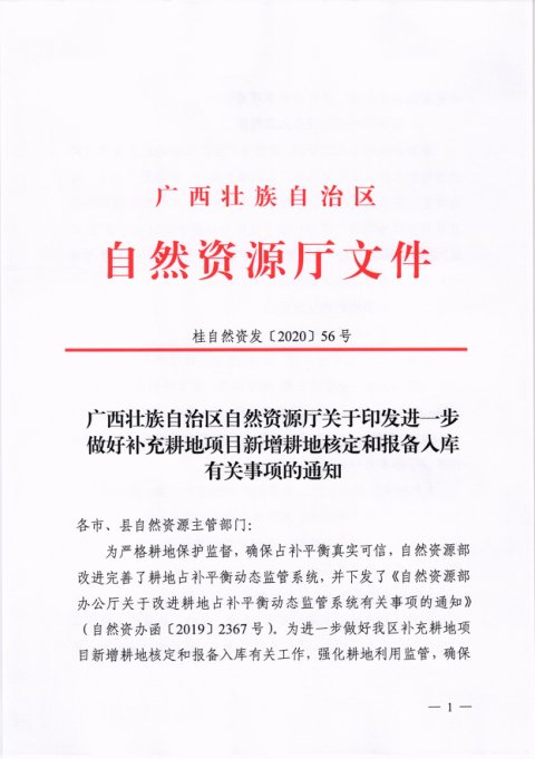 广西壮族自治区自然资源厅《进一步做好补充耕地项目新增耕地核定和报备入库有关事项的通知》桂自然资发〔2020〕56号